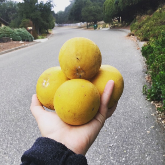 Meet your Posher - Picture 2 of 2